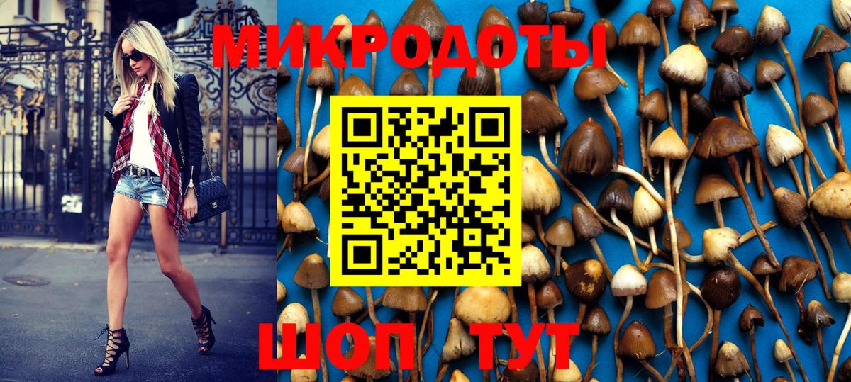 Псилоцибиновые грибы Magic Shrooms Кизляр